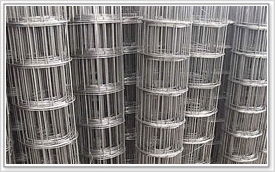 供应电焊网 恒乐金属丝网制品厂